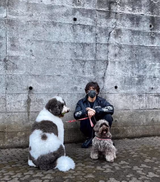 木村拓哉孤身一人遛狗,網友:是不是嫌妻女熱衷曬圖出門躲清靜?