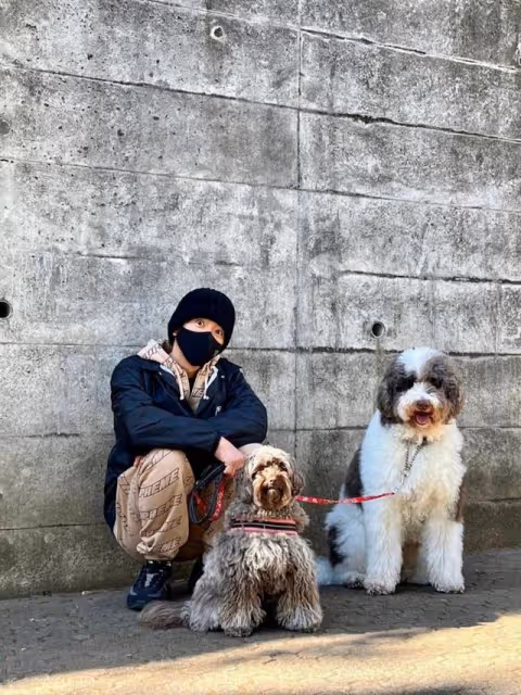 木村拓哉孤身一人遛狗,網友:是不是嫌妻女熱衷曬圖出門躲清靜?