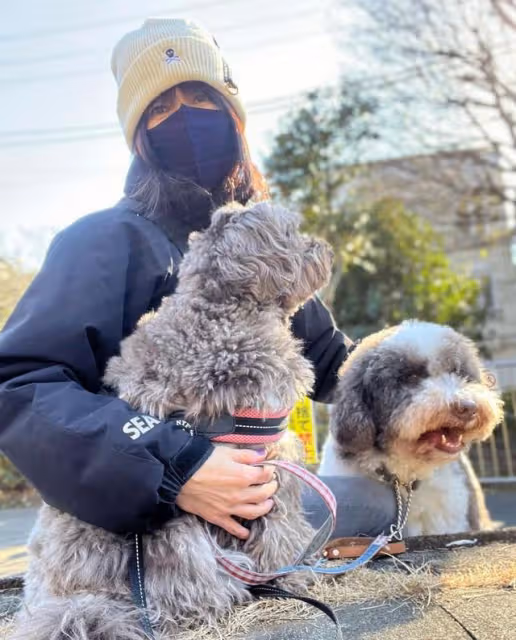 木村拓哉孤身一人遛狗,網友:是不是嫌妻女熱衷曬圖出門躲清靜?