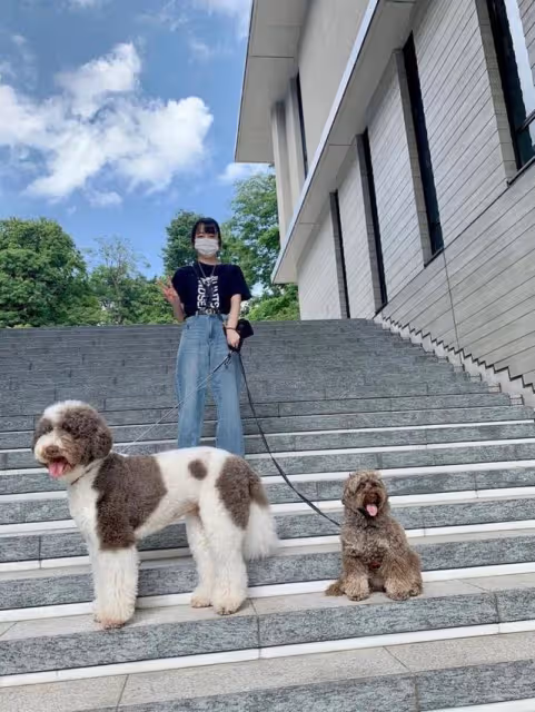 木村拓哉孤身一人遛狗,網友:是不是嫌妻女熱衷曬圖出門躲清靜?