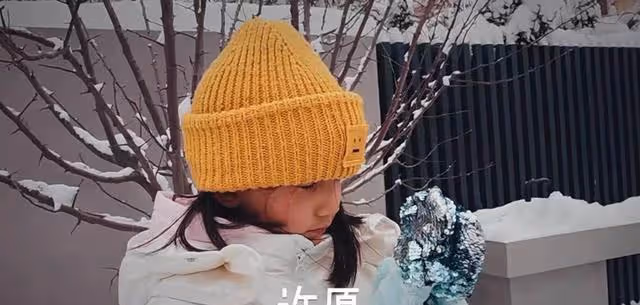 黃磊帶兒子雪中嬉戲,父子舐犢情深,多妹可愛無比!