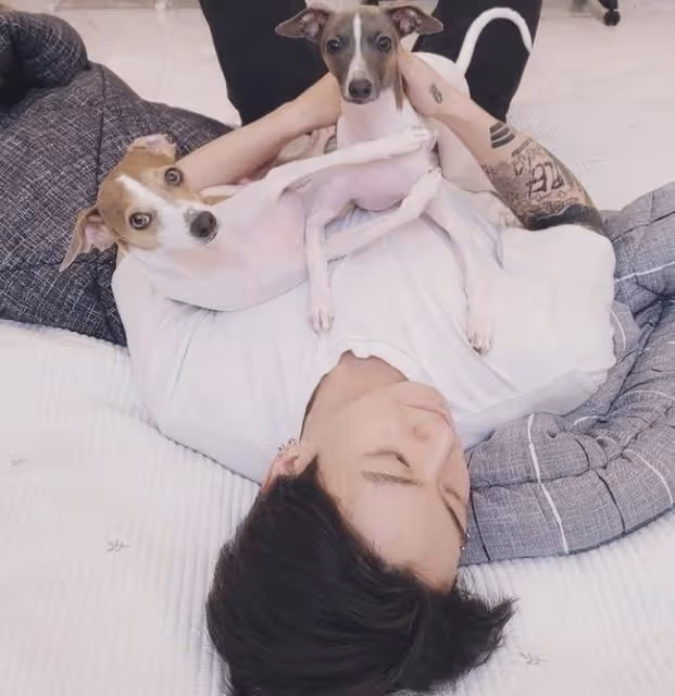 不是無厘頭!孫藝真、Jungkook等韓星IG帳號有巧思