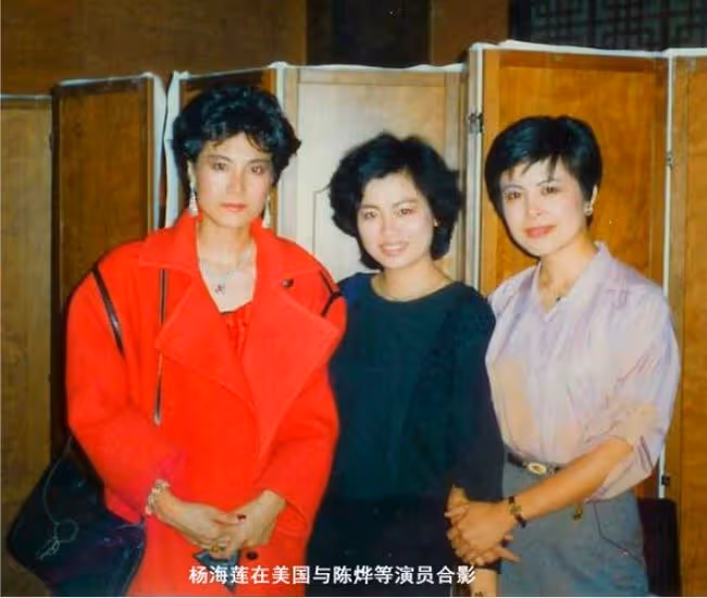明星移居國外淒涼現狀:有的當保姆,有的付不起兒子700元出診費