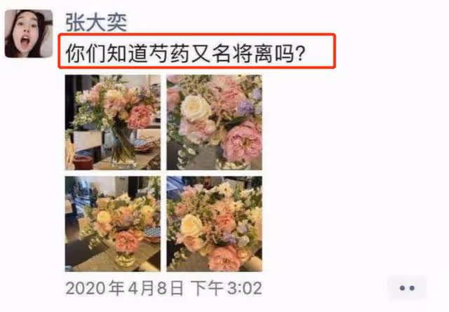 張大奕深夜暗秀，曬床上異性太刻意，曾經年入3億的網紅，可惜了