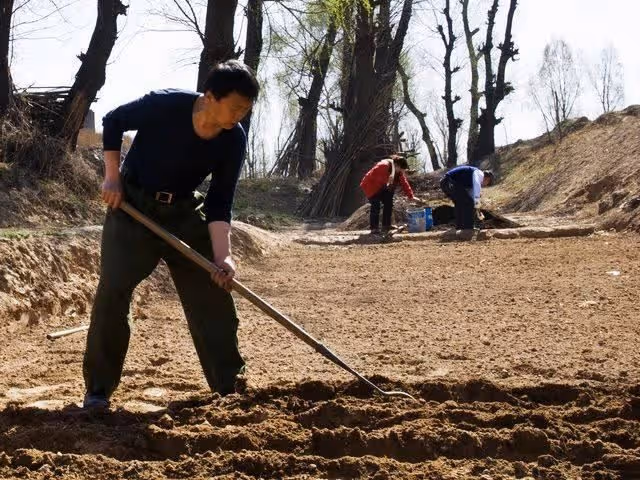 母親去世一年,父親讓我和妹妹平分30萬養老錢,我們一分沒要