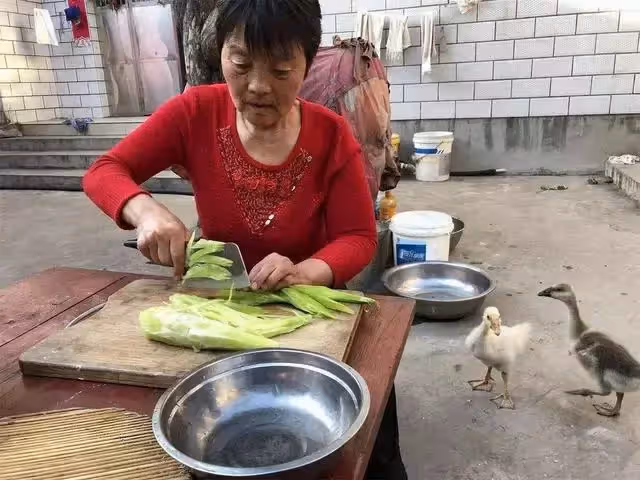 晚年不孤獨!63歲單身老人坦言:請個住家保姆有償陪伴「比找再婚老伴更省心」 生活更自由