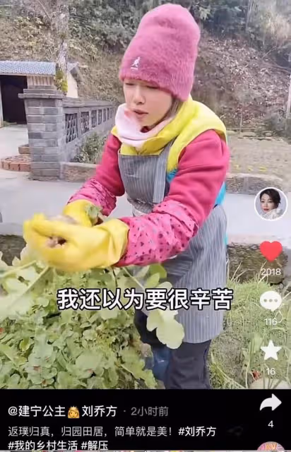 港星劉玉翠現身鄉村生活!親自下地幹活洗菜生柴,打扮簡樸似村婦