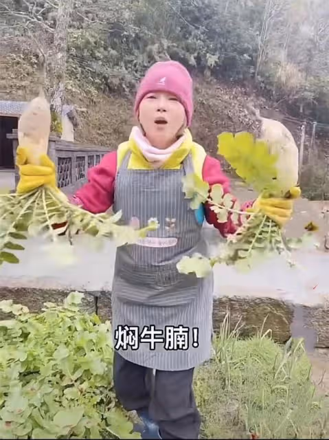 港星劉玉翠現身鄉村生活!親自下地幹活洗菜生柴,打扮簡樸似村婦