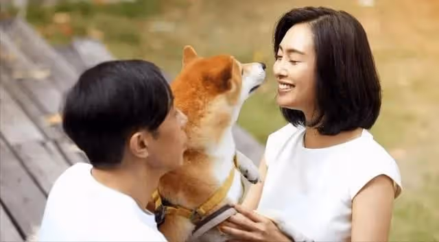 朱茵那麼愛周星馳，為何轉身就嫁給了「窮小子」黃貫中？