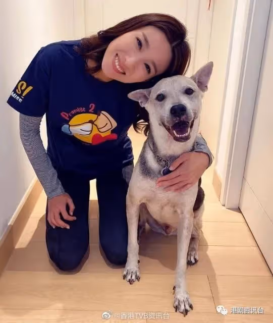 不會為結婚而結婚!TVB當紅花旦說:還沒遇到一起走下去的人