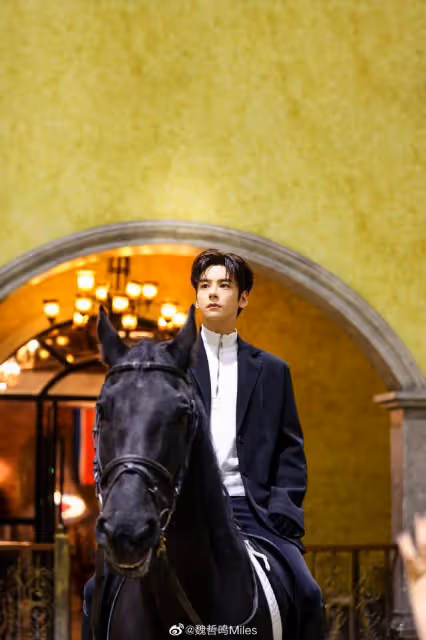 魏哲鳴：男團出道，《下一站是幸福》走紅，竟然還演過《山河令》