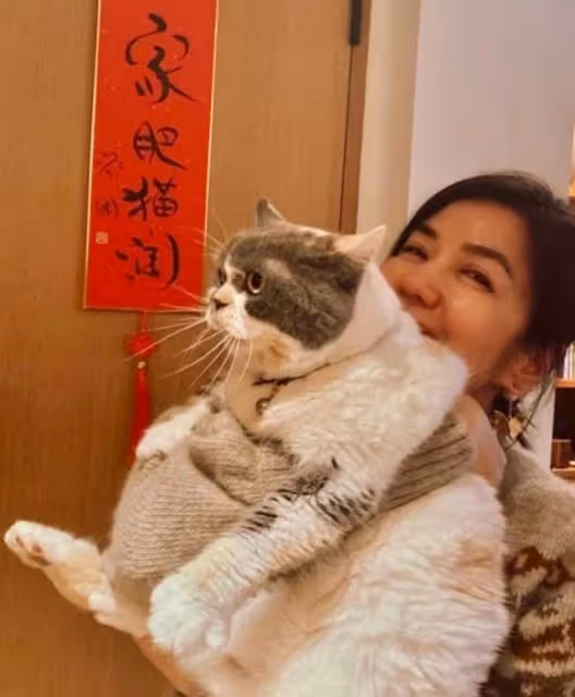 魅力不減!62歲鍾楚紅近況曝光,臉上已有明顯皺紋但仍崇尚健康美