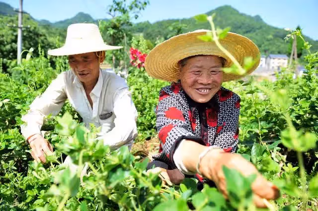 67歲老人想去女兒家養老,遭女婿拒絕,聽完女婿一番話,明白了