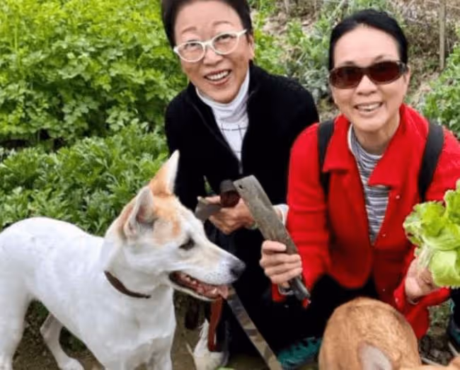 一路走好!億萬富婆突然去世,生前注重養生,任達華夫婦難以接受