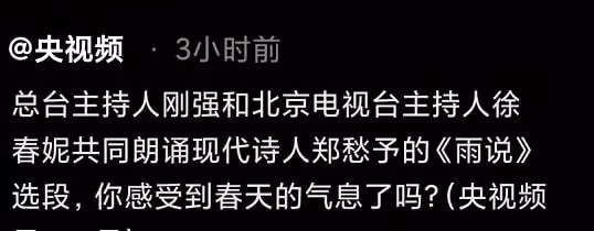 央視主持人剛強與妻子同框,齊登長城笑開花,深情對視風景美如畫