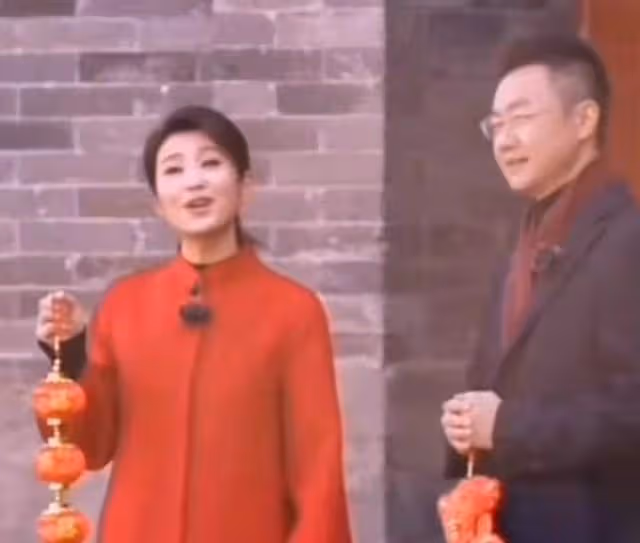 央視主持人剛強與妻子同框,齊登長城笑開花,深情對視風景美如畫