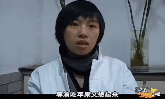 張藝謀妻子被罵,冤嗎?