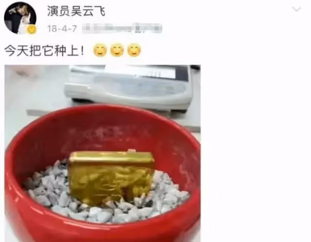 用金條當盆栽，投資吳京入股賓利，趙本山的徒弟吳雲飛到底多有錢