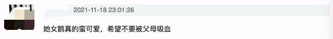 25歲網紅拼四胎惹爭議，3個女兒從小當童模養家，網友喊話求封禁