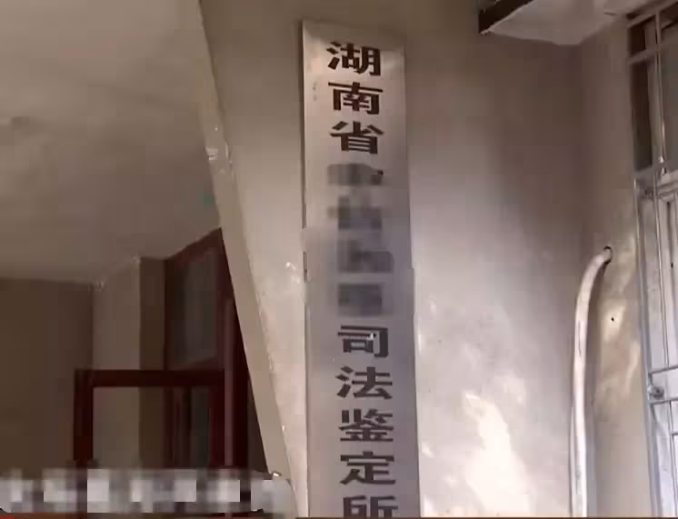 爺爺懷疑孫子不是親生,前兒媳硬要去做鑑定,結果很意外