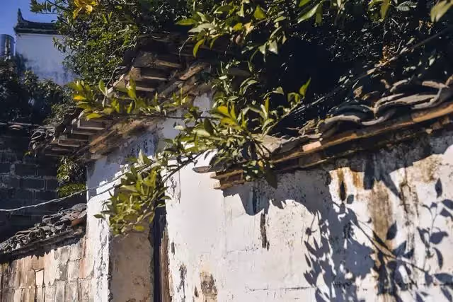 婆婆月子期間欺負兒媳,兒媳不搭理,出月子後給她來了招狠的