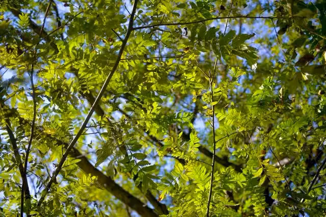 婆婆月子期間欺負兒媳,兒媳不搭理,出月子後給她來了招狠的