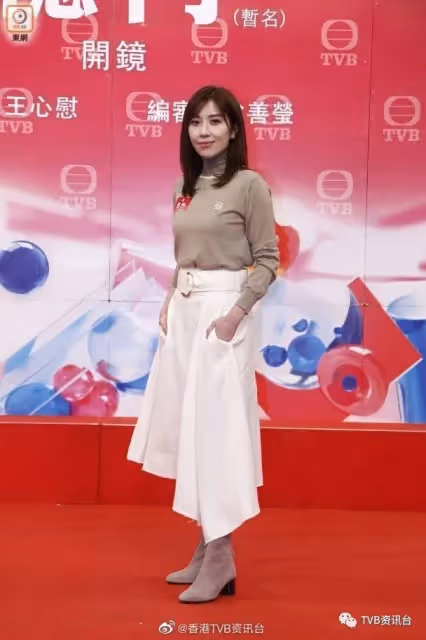 黃智雯陳展鵬首次合作！湯洛雯劇中演警花