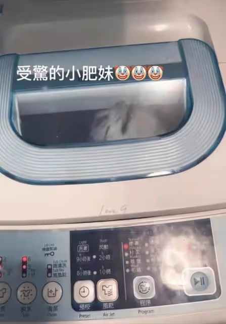 TVB女星胞姐虐貓罪名成立，被判80小時社會服務令，罰款近20萬