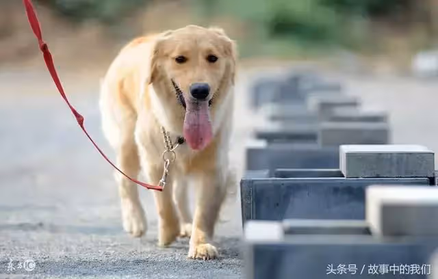 拾荒老婦意外撿到金手鐲,她原地苦等失主兩天,沒想到「失主」一出現,兩人都愣住了...