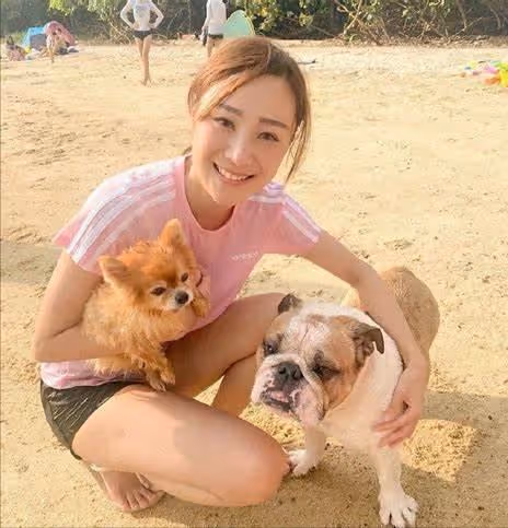 禍不單行!TVB女星高燒求醫中途遇車禍,車輛有碰撞但幸得人沒事