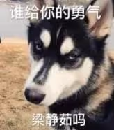 大眼男星和老婆浪花姐的瓜!
