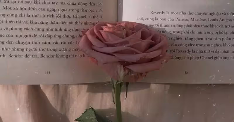 往往，最惹男人惦記的，是這種女人