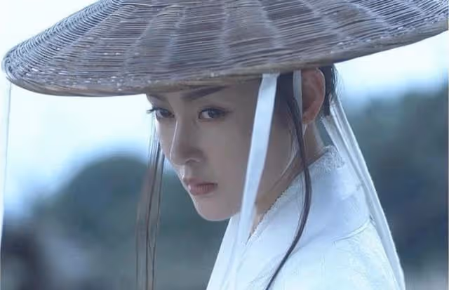 南宮僕射:徐鳳年媳婦無數,她卻以雙刀為聘禮,娶了徐鳳年