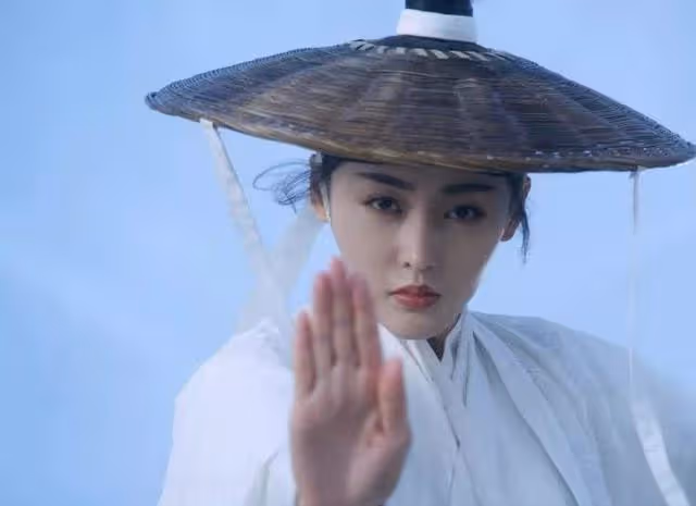 南宮僕射:徐鳳年媳婦無數,她卻以雙刀為聘禮,娶了徐鳳年