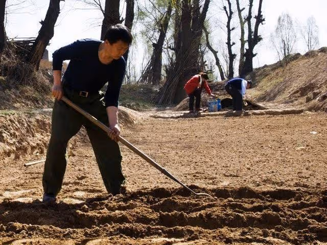 岳父要給我一百萬,讓孩子隨他姓,如今兒子半歲,岳父卻失言了