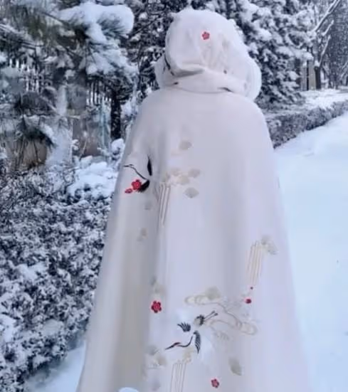 田亮曬出女兒雪景照,「森蝶」雪地古風照招人喜愛,網友:漂亮