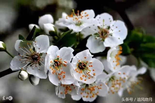 父親意外過世後母親便改嫁沒再回來,我恨她20年,奶奶臨終前卻說出隱藏多年的秘密