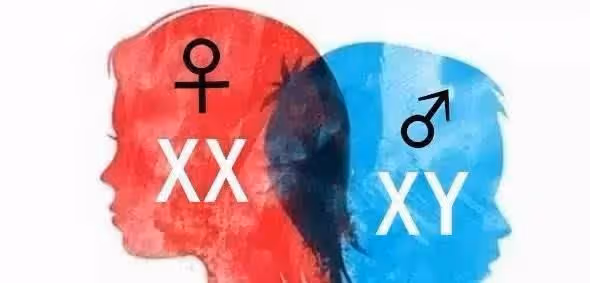 喊男星老婆,喊女星老公,內娛這兩年為何流行男不男、女不女?