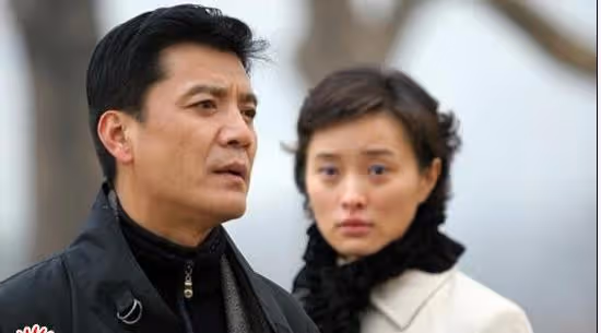 嫁過大江、做過高明遠前妻和李成陽是情侶《掃黑風暴》賀芸不簡單