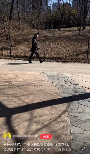 遭前夫暗諷後宋丹丹近況曝光，扎小辮公園遛彎，健步如飛姿勢霸氣