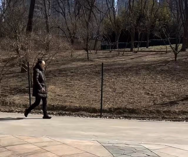 遭前夫暗諷後宋丹丹近況曝光，扎小辮公園遛彎，健步如飛姿勢霸氣