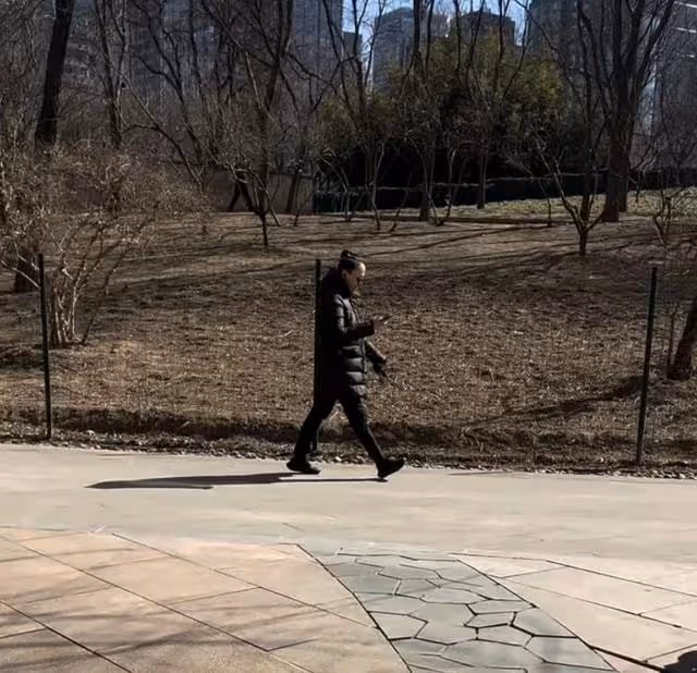 遭前夫暗諷後宋丹丹近況曝光，扎小辮公園遛彎，健步如飛姿勢霸氣