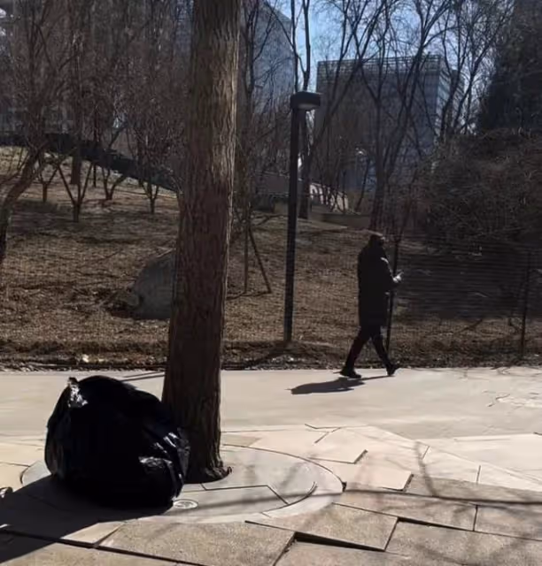 遭前夫暗諷後宋丹丹近況曝光，扎小辮公園遛彎，健步如飛姿勢霸氣