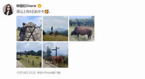 61歲鍾楚紅近照曝光！打扮樸素低調熱愛運動 丈夫病逝後孤身一人旅遊散心