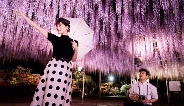 可甜可鹽,「坂口健太郎」影視作品盤點,模特兒轉型演技型男之路