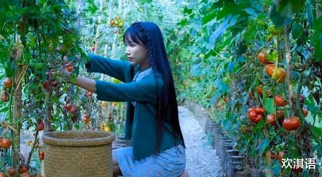李子柒停更的第224天,想她!