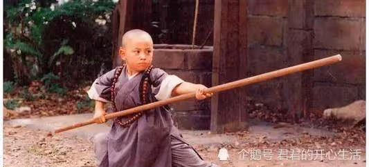 釋小龍:「李連杰的接班人」,5歲開始拍戲,而今復出路很難走?