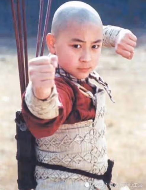 釋小龍:「李連杰的接班人」,5歲開始拍戲,而今復出路很難走?