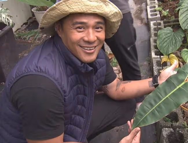 知名男星竇智孔被蟲咬,高燒全身紅疹險進ICU,同行好友要換血