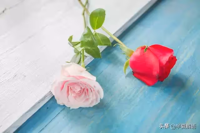 回娘家過年,被弟媳安排打地鋪,姑姐拿出轉帳:娘家買房我出30萬